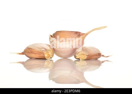 Tre spicchi di aglio fresco e speziato su fondo bianco. Foto Stock