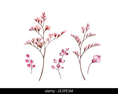 Ramificazioni acquerello. Set di fiori con piccoli fiori rosa e bacche rosa. Elemento bouquet isolato su bianco. Opere d'arte vintage dipinte a mano Foto Stock