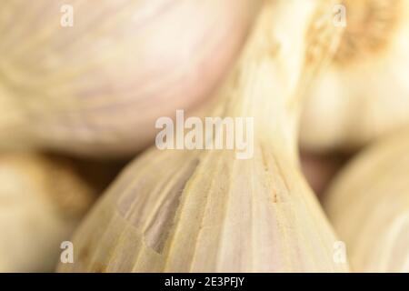 Diverse teste, in fuoco, macro, aglio speziato e organico maturo. Foto Stock