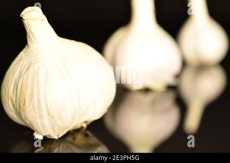 Poche teste, aglio biologico piccante maturo, su fondo nero. Foto Stock