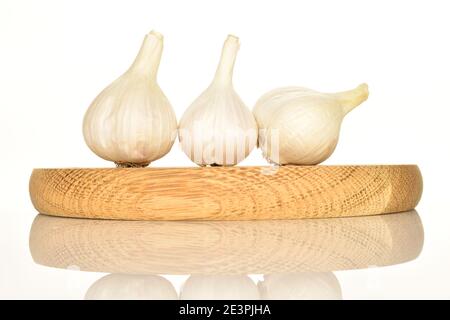 Tre intere teste di aglio piccante mature giacciono su un supporto rotondo di legno marrone su sfondo bianco. Foto Stock