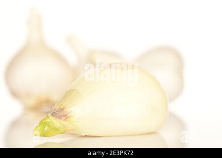 Uno spicchio di aglio biologico piccante maturo, primo piano, su sfondo bianco. Sullo sfondo ci sono tre teste intere di aglio. Foto Stock