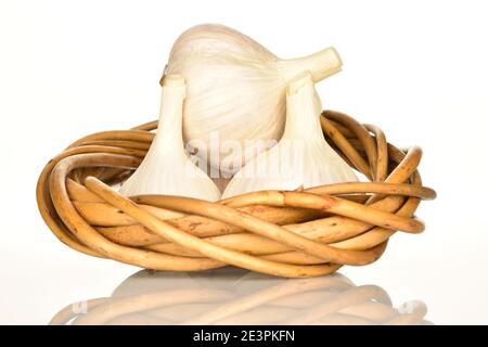 Tre intere teste profumate organiche di aglio giacenti in un anello di vimini da una vite su sfondo bianco. Foto Stock