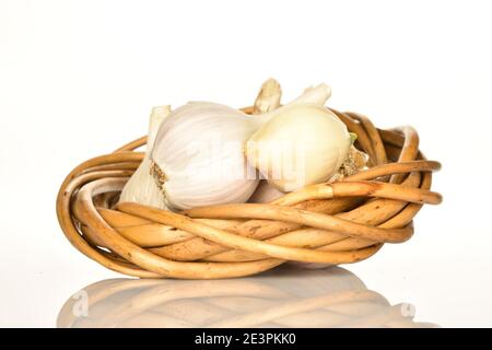 Tre intere teste profumate organiche di aglio giacenti in un anello di vimini da una vite su sfondo bianco. Foto Stock