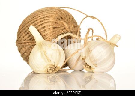 Tre intere teste profumate di aglio organico giace accanto ad una sfera di filo di iuta su uno sfondo bianco. Foto Stock