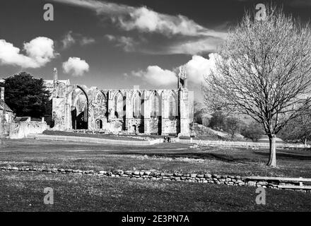 Intorno al Regno Unito - UNA giornata fuori all'Abbazia di Bolton - rovine di un Priorato Agostiniano, catturato in bianco e nero. Foto Stock