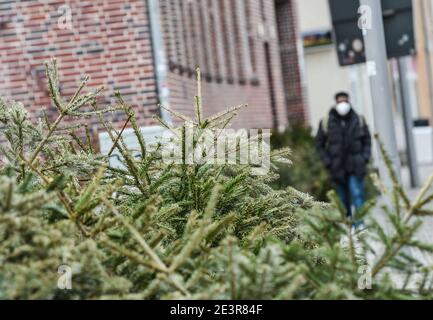 Berlino, Germania. 20 gennaio 2021. Su un marciapiede sono molti alberi di Natale che non sono ancora stati raccolti. Sullo sfondo cammina una persona con copertura bocca-naso. Credit: Kira Hofmann/dpa-Zentralbild/dpa/Alamy Live News Foto Stock