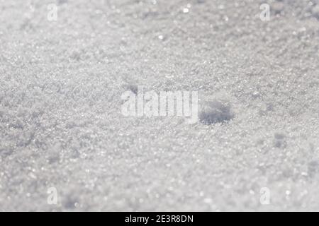 Trama di neve caduta dopo la tempesta Filomena a Madrid Foto Stock