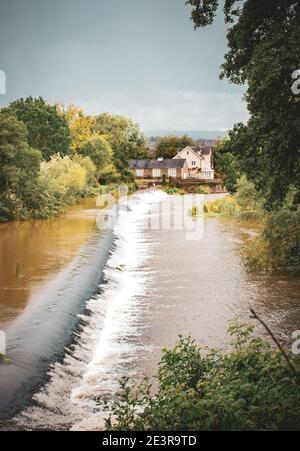 River Teme, Shropshire in estate. Questo fiume alimenta la città mercato di Ludlow. Foto Stock