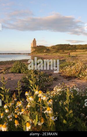 Greenan Castle, Ayr, Ayrshire, Scozia, Regno Unito. Arroccato sulla cima di una scogliera di mare, Greenan Castle occupa un sito che è stato fortificato per migliaia di anni. Originariamente una fortezza promontoria, fu convertita in motte-and-bailey nel XII secolo. Nel XV secolo una Tower House fu costruita dai signori delle isole che in seguito passarono nelle mani della famiglia Kennedy. Il Greenan Castle è una casa torre in rovina del 16th° secolo, a circa 2,5 miglia a sud-ovest di Ayr, nel South Ayrshire, Scozia. Il castello che si trova precariamente sulle Clifs è stato legato alla leggenda di re Artù Foto Stock