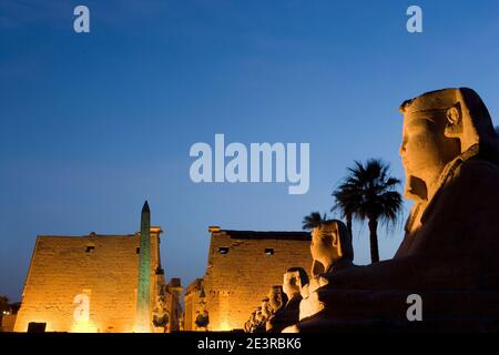 Nord Africa Egitto Luxor sul fiume Nilo Tempio di Luxor il viale delle Sfingi sfinge tramonto al tramonto illuminato di notte Foto Stock