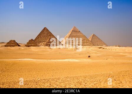 Nord Africa Egitto Cairo Giza uomo di città in sella a cammello di fronte alle piramidi d'Egitto nel paesaggio desertico piramidi cielo blu della città di giza Foto Stock