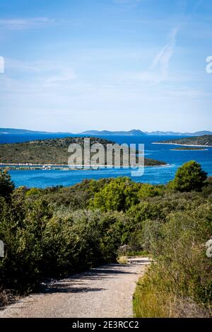 Verso la Baia di Salina, l'Isola di Iz, l'arcipelago di Zara, la Dalmazia, la Croazia Foto Stock