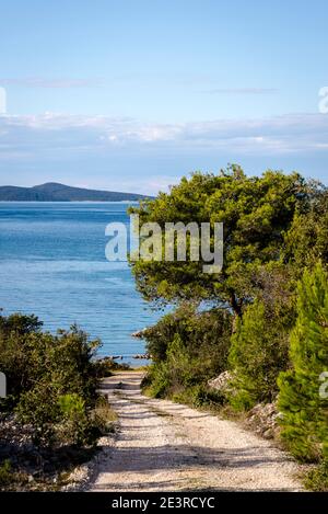 Verso la baia di Peceno, l'isola di Iz, l'arcipelago di Zara, la Dalmazia, la Croazia Foto Stock