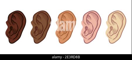 Set di simboli di schizzo dell'orecchio disegnati a mano con diversi colori della pelle. Elemento di ascolto vettoriale in stile doodle isolato su bianco Illustrazione Vettoriale