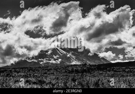 Tanzania. Questo è Kilimanjaro 19340 piedi in monocromia, la montagna più alta in Africa e l'emisfero meridionale, visto qui dall'altopiano di Shira guardando verso il divario del muro di rottura. Foto Stock