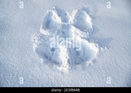 Angelo di neve nella neve fresca. Traccia dal corpo del bambino. Foto Stock