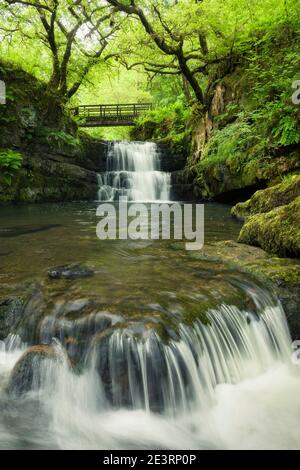 Sgydau Sychryd Falls nel Bannau Brycheiniog (Brecon Beacons) National Park vicino a Pontneddfechan, Powys, Galles. Foto Stock