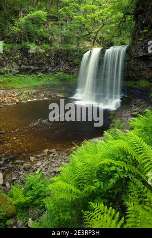 Sgwd yr Eira (cascata di neve) cascata sul fiume Afon Hepste nel Parco nazionale Bannau Brycheiniog (Brecon Beacons) vicino a Ystradfellte, Powys, Galles. Foto Stock