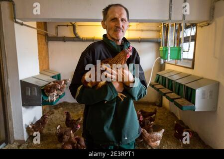 Karl Heinz Degen 70, qui che lavora nella gabbia di pollo, vive nella casa senior della fattoria di Eiffel a Marienrachdorf, in Rheinland-Pfalz Germania, dove gli anziani possono anche entrare in contatto con gli animali o addirittura lavorare nella fattoria stessa. Foto Stock