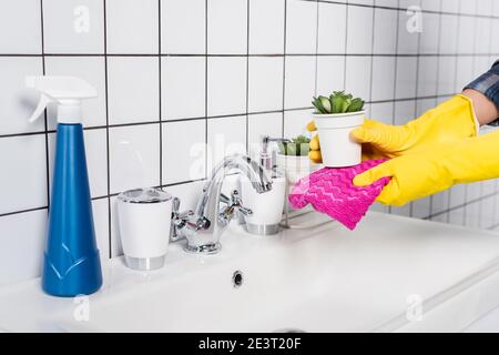 Vista ritagliata di donna che pulisce vaso pianta vicino bottiglia di detersivo sul lavandino in bagno Foto Stock