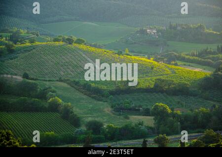 Impressionante paesaggio primaverile, vista con cipressi e vigneti, Toscana, Italia. Foto di alta qualità Foto Stock