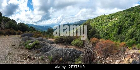 Ampio paesaggio boschivo panoramico dei Monti Supramonte con rocce calcaree e vegetazione mediterranea, Regione Nuoro, Sardegna, Italia. Estate Foto Stock