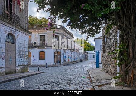 Strada acciottolata e case coloniali nel Barrio Historico / quartiere storico portoghese della città Colonia del Sacramento, Uruguay sud-occidentale Foto Stock