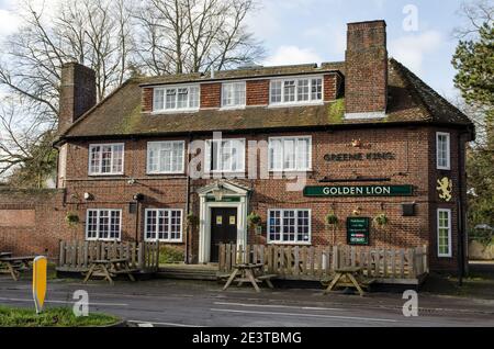 Basingstoke, Regno Unito - 17 gennaio 2021: L'esterno della casa pubblica Golden Lion ai margini del parco commerciale Viables a Basingstoke, Hampshire. Foto Stock