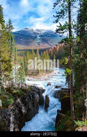 Splendida vista del Sunwapta Falls Jasper National Park, Canada. Montagne Rocciose canadesi Foto Stock