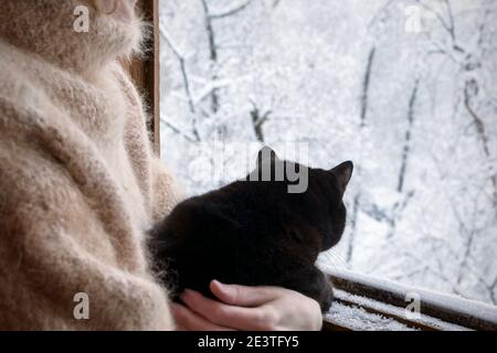 Gatto nero sulle sue mani guardando il paesaggio invernale nella finestra Foto Stock