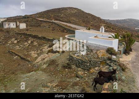 Vista del Crisopigi, piccola chiesa greca ortodossa nella terraferma dell'isola di Folegandros. Asini nel cortile. Grecia. Foto Stock