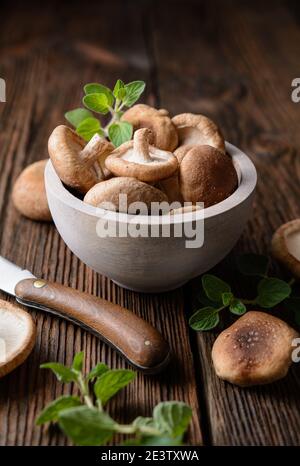 Un mucchio di immunità che aumenta i funghi Shiitake freschi in una ciotola su sfondo rustico in legno Foto Stock