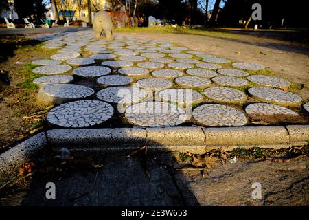 07.01.2021. Bulgaria, Kardzhali. Scultura di orso in parco aperto a Kardzali Bulgaria durante la mattina presto con il sole. Foto Stock