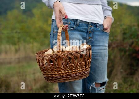 Cestino di ceps, in mano di una ragazza Foto Stock