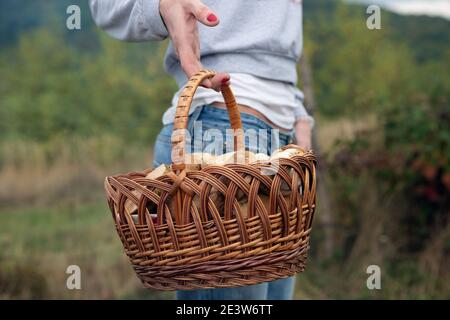 Cestino di ceps, in mano di una ragazza Foto Stock