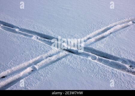 Pista da sci che attraversa la neve fresca. Neve texture con piste da sci Foto Stock