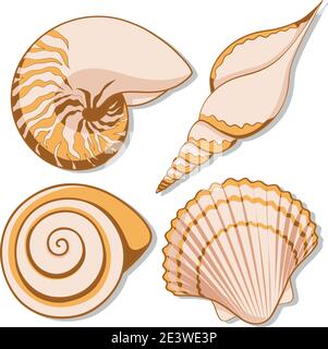 Set di conchiglie marine grafiche a colori. Oggetti isolati con ombra su sfondo bianco. Illustrazione Vettoriale