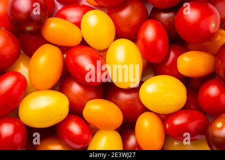 Pomodori ciliegini rossi, gialli, arancioni primo piano Foto Stock