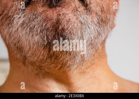 Barba bianca, grigia e nera con acrobazie di un uomo di mezza età. Sfondo bianco. Foto Stock