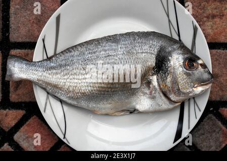 Pesce di orata cruda su un piatto Foto Stock