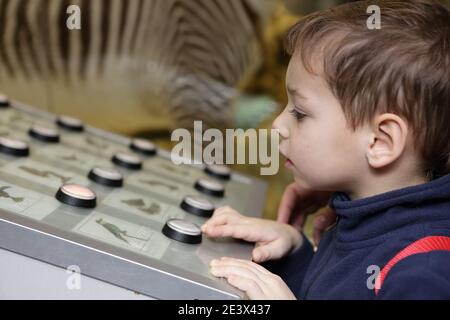 Il ragazzo della curiosità che studia il canto degli uccelli nel museo Foto Stock
