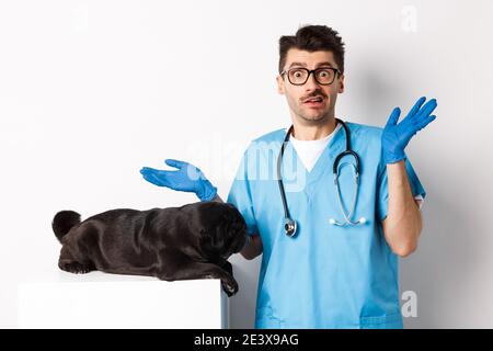 Veterinario medico intern in scrub shrugging, confuso come esaminare il cane, pug sdraiato sul tavolo, sfondo bianco Foto Stock