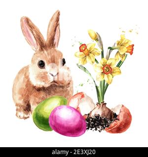 Buona carta pasquale, uova colorate, coniglio e fiore giovane di primavera. Illustrazione di acquerello disegnata a mano isolata su sfondo bianco Foto Stock