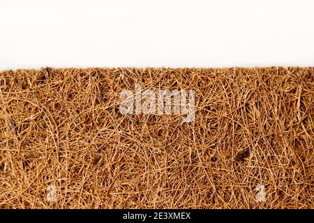 Primo piano materasso in fibra di cocco isolato su bianco. Foto Stock