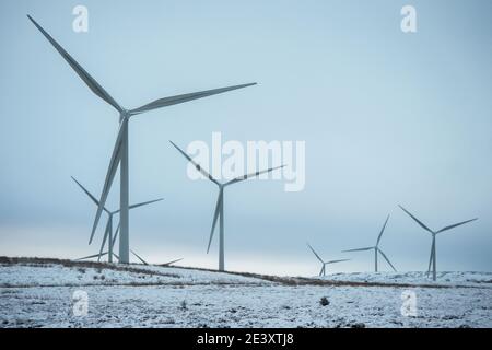 Whitelee Windfarm, Eaglesham Moor, Scozia, Regno Unito. 21 Gennaio 2021. Nella foto: La Scozia è stata colpita con più neve caduta durante la notte, mentre la tempesta Christoph deposita qualche centimetro di neve bagnata nella Scozia centrale. Più neve, venti alti e ghiaccio sono previsti dall'Ufficio MET con alcuni sistemi frontali provenienti dall'Est. Credit: Colin Fisher/Alamy Live News Foto Stock