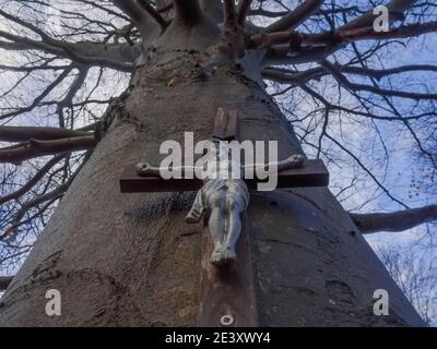 croce con gesù su un grande vecchio albero nel vista sul centro della foresta Foto Stock