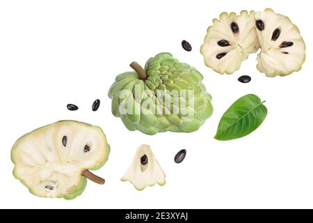 Zucchero mela o crema di mele isolato su sfondo bianco. Esotico tropicale tailandese annona o cherimoya frutta. Vista dall'alto. Disposizione piatta Foto Stock