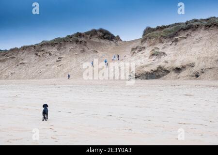 Persone sul sistema di dune di sabbia a Crantock Beach a Newquay in Cornovaglia. Foto Stock