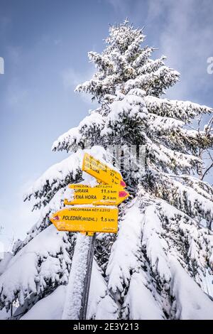 Sumava National Park è uno dei quattro parchi nazionali in Cechia. Esso si trova in due regioni meridionali creare un confine naturale tra la Repubblica Ceca Foto Stock